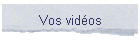 Vos vidos